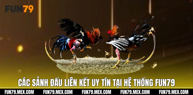 Các sảnh đấu liên kết uy tín tại hệ thống Fun79